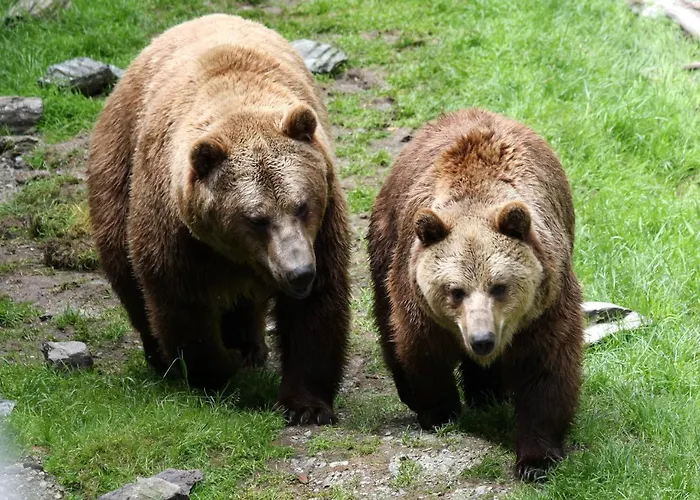 Ferienwohnung Anja 公寓